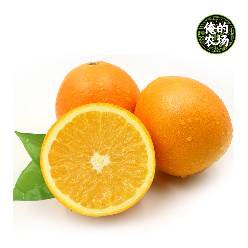 【特供】进口橙子约500g/份